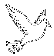 2 - Paloma Tradicional